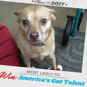 Meet your Posher, Crescent